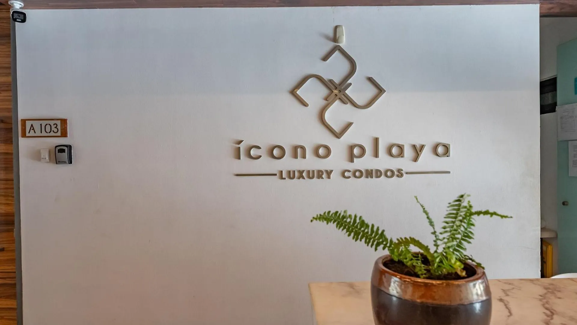 Splendid 3Bph At Icono Playa Daire Playa del Carmen